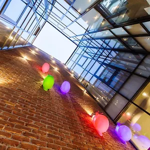 Old Town Snail Design Apartment